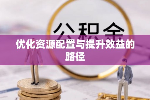 六龟优化资源配置与提升效益的路径