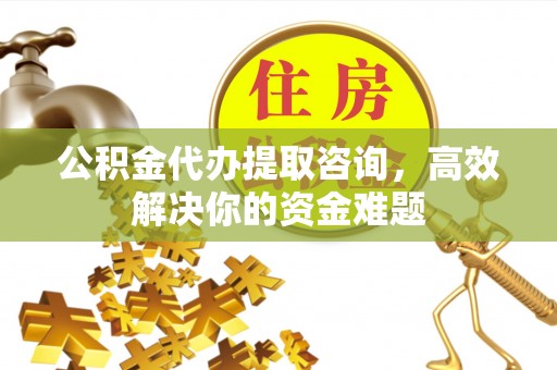 六龟公积金代办提取咨询，高效解决你的资金难题