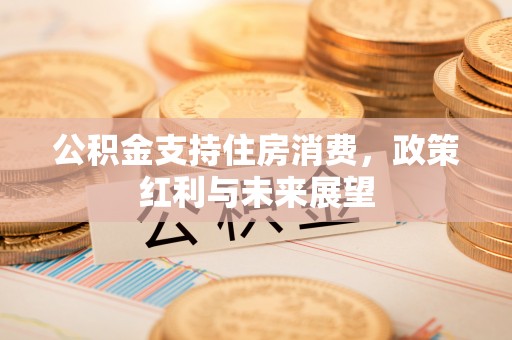六龟公积金支持住房消费，政策红利与未来展望
