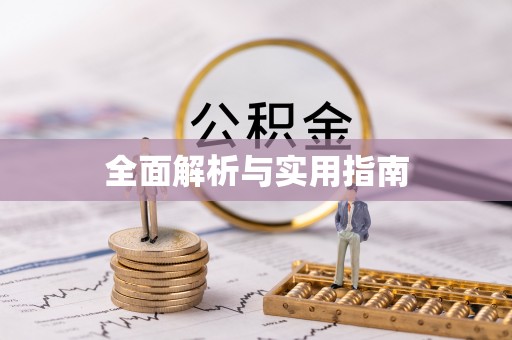 六龟全面解析与实用指南