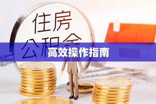 六龟高效操作指南
