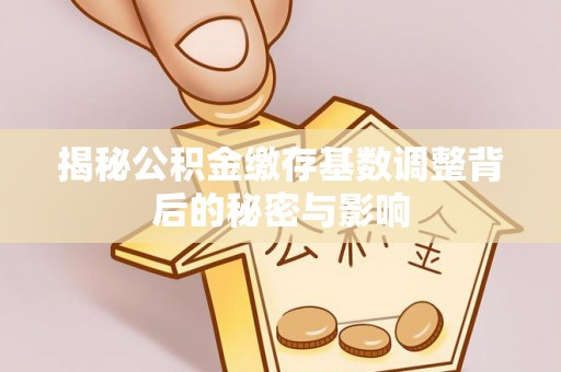 六龟揭秘公积金缴存基数调整背后的秘密与影响