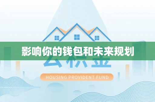 六龟影响你的钱包和未来规划
