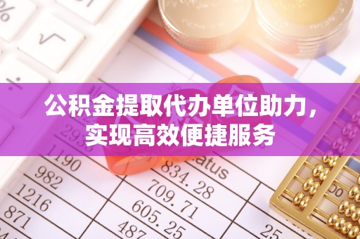六龟公积金提取代办单位助力，实现高效便捷服务