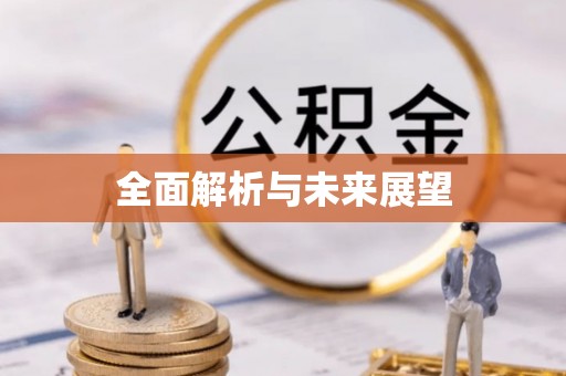 六龟全面解析与未来展望