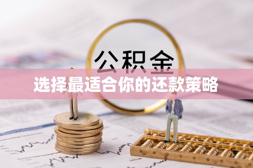 六龟选择最适合你的还款策略