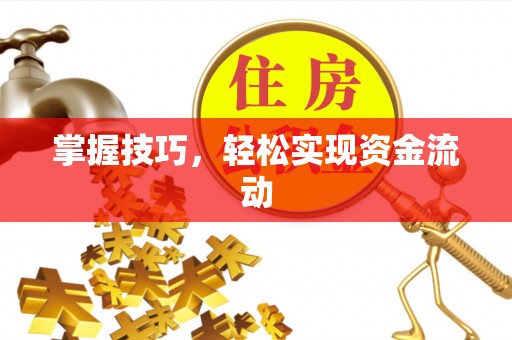 六龟掌握技巧，轻松实现资金流动